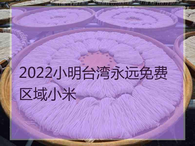2022小明台湾永远免费区域小米
