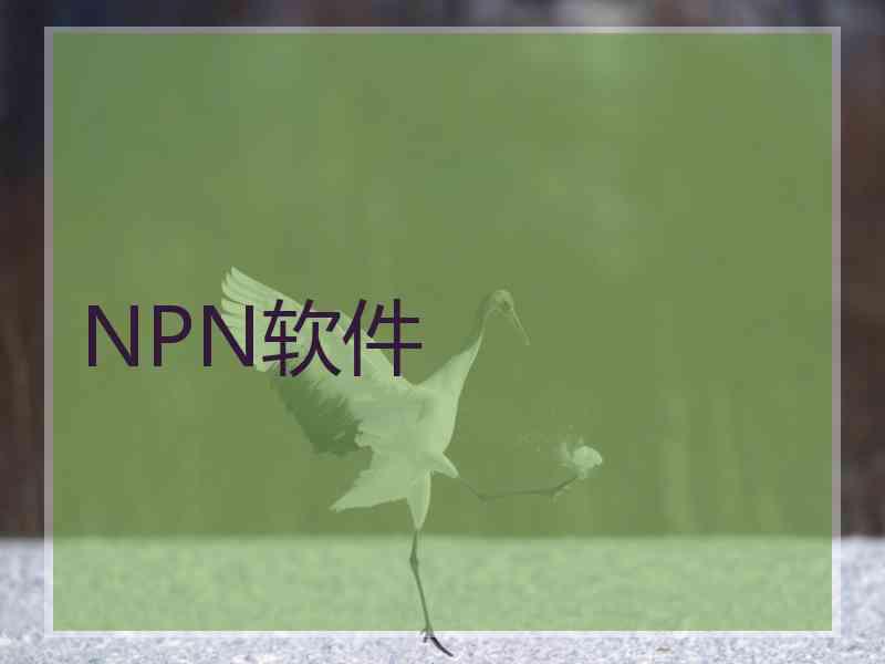 NPN软件